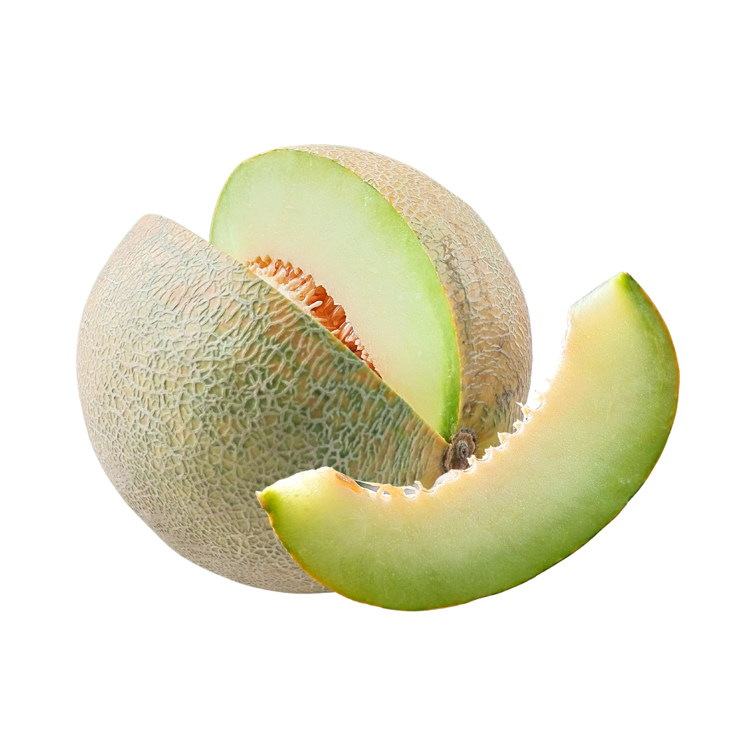 Honeydew